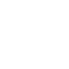 BMEI
