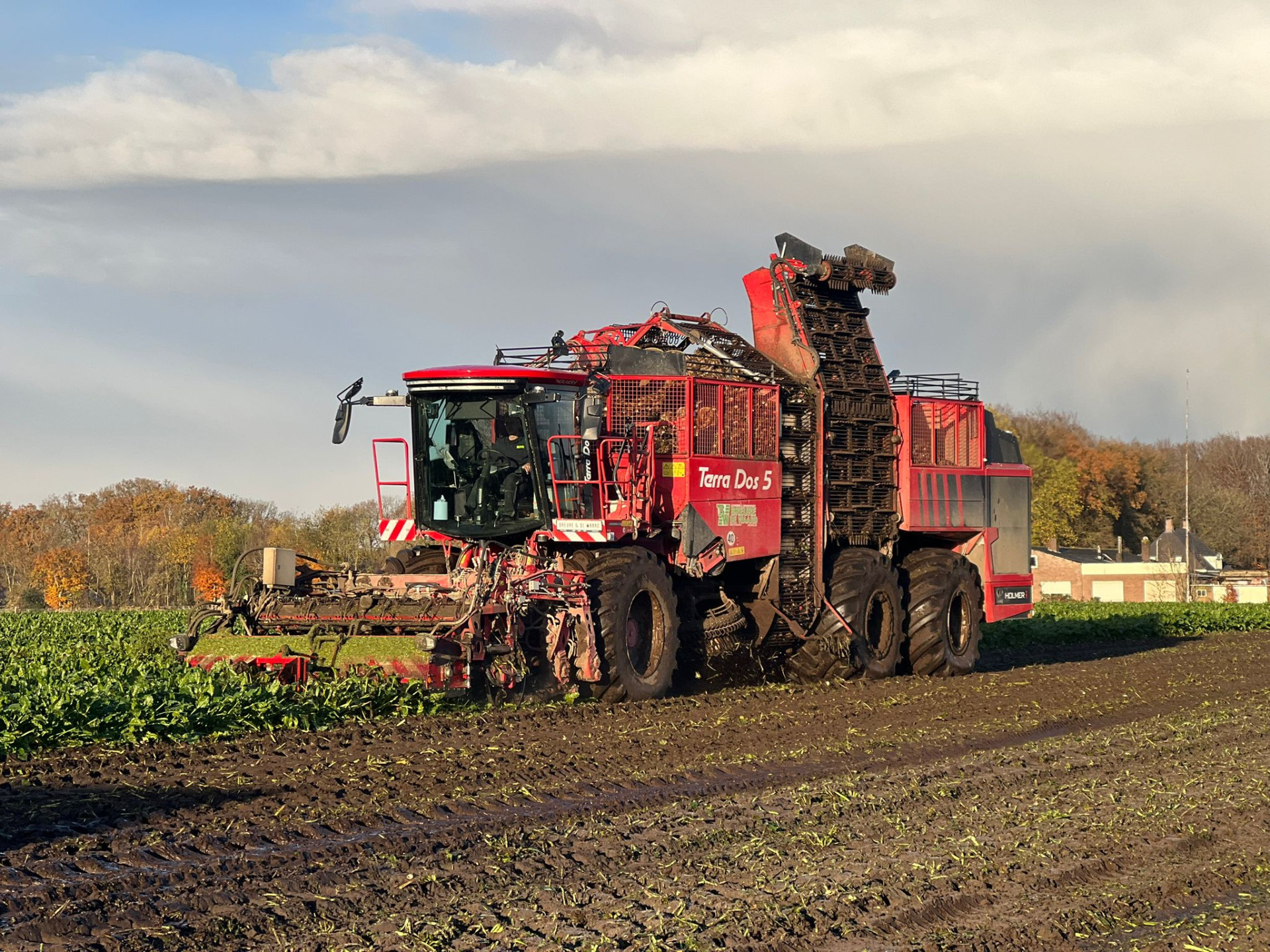 Suikerbieten oogst is begonnen